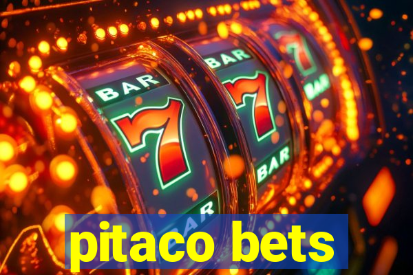 pitaco bets